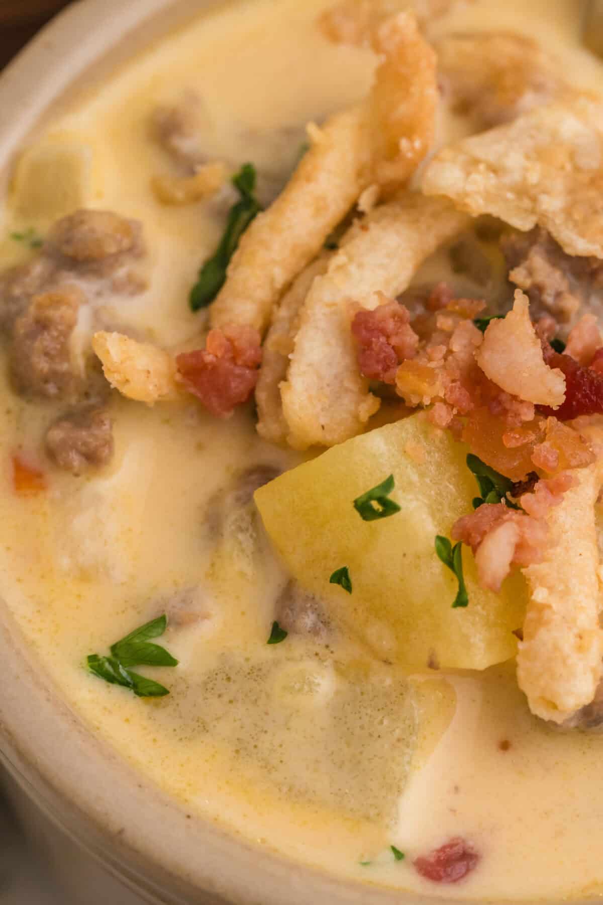 close up picture of cheeseburger soup with crispy onions on top