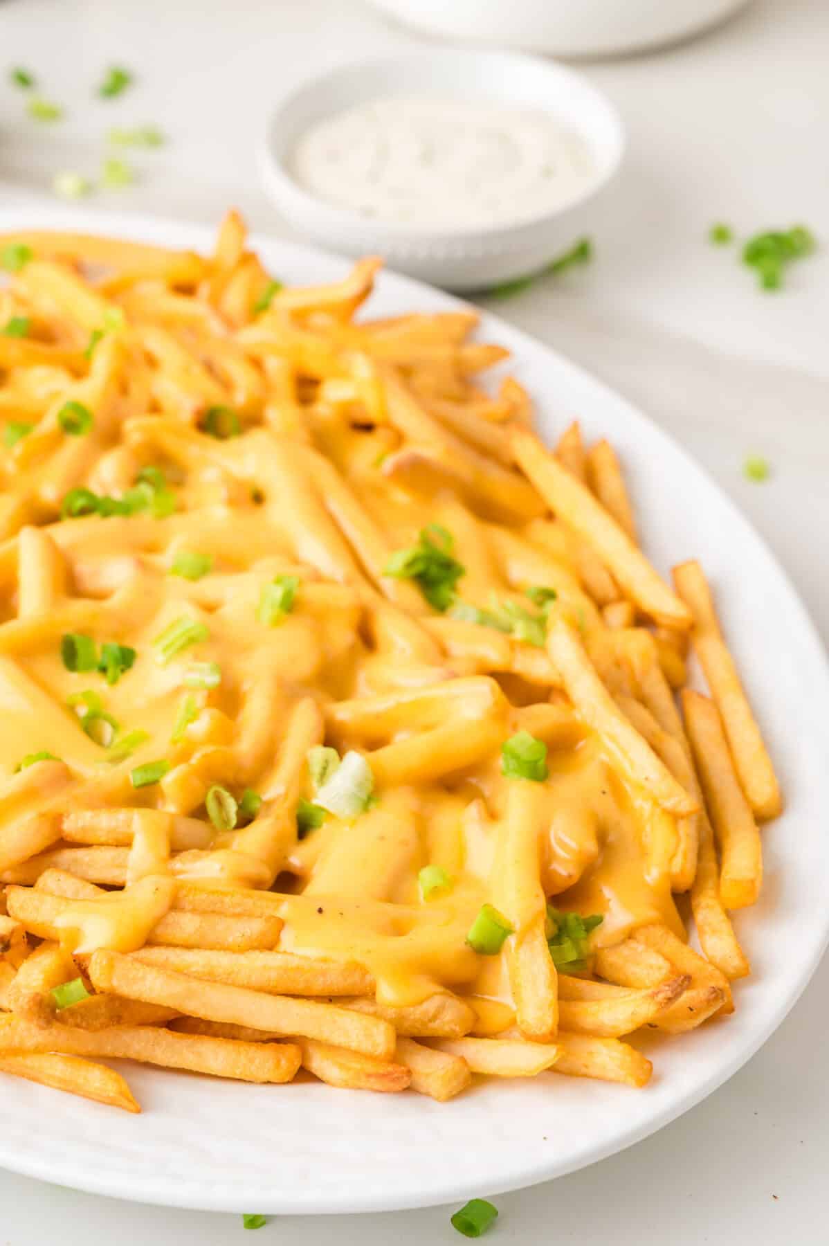 cheese fries on a white platter