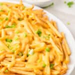 cheese fries on a white platter
